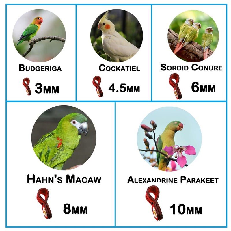 kcrygogo Bird Harness Leash Anti-bite outdoor Red Flying Training Rope with 5pcs Different Sizes of Soft Foot Loops and Training Whistle(Upgraded Version of Ankle Ring) - Image 4